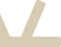 Vector