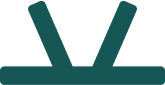 Vector