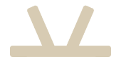 Vector